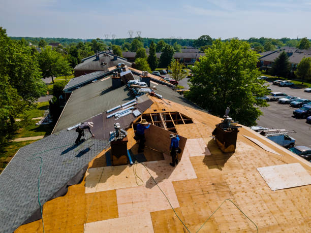 Trusted Storm Damage Roof Repair service in Temperanceville, VA - Brentwood Metal Roofing
